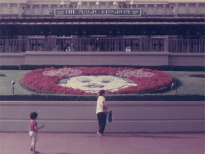 mickeyflowers