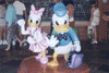 donalddaisypin