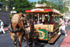 horsetrolley